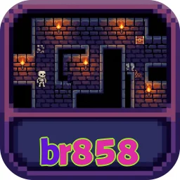 br858